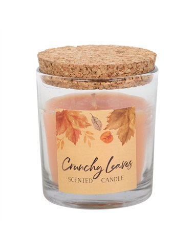 Crunchy Leaves Autumn Candle AA_44623