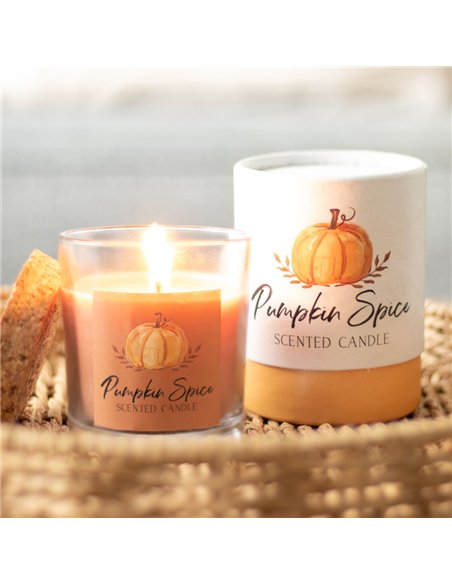 Pumpkin Spice Autumn Candle AA_44723 - pic 134584 | FastDaddyshop