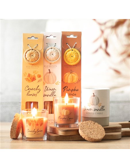 Pumpkin Spice Autumn Candle AA_44723 - pic 134585 | FastDaddyshop