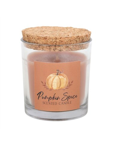 Pumpkin Spice Autumn Candle AA_44723