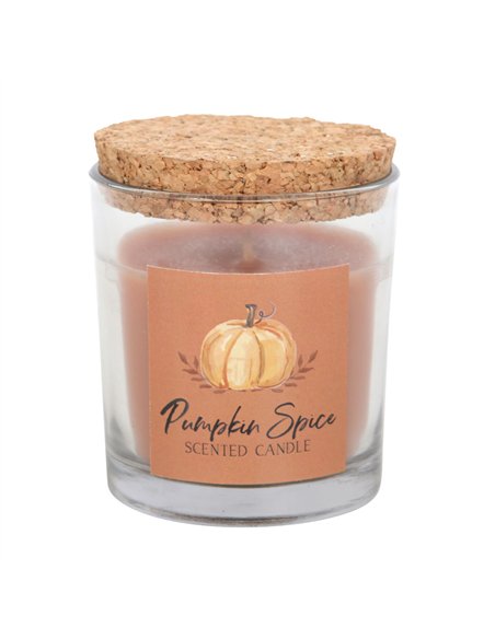 Pumpkin Spice Autumn Candle AA_44723 - pic 134587 | FastDaddyshop