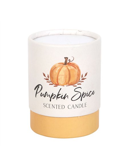 Pumpkin Spice Autumn Candle AA_44723 - pic 134588 | FastDaddyshop
