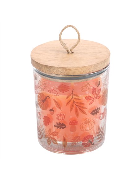 Autumn Leaves Cinnamon & Orange Candle AL_65124 - pic 134608 | FastDaddyshop