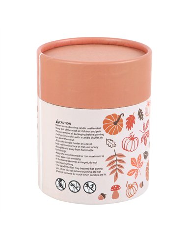 Autumn Leaves Cinnamon & Orange Candle AL_65124