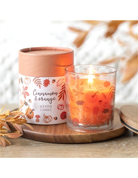 Autumn Leaves Cinnamon & Orange Candle AL_65124 - pic 134611 | FastDaddyshop