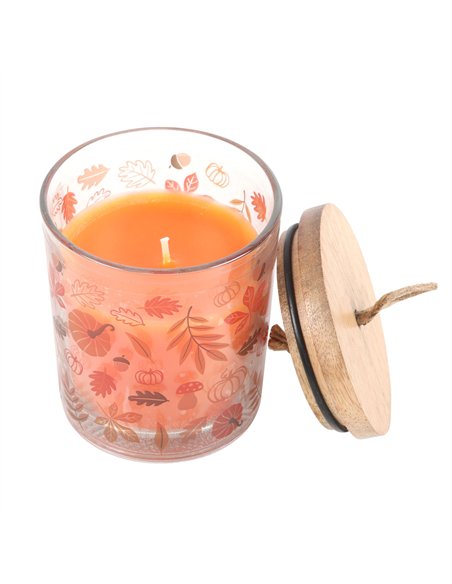 Autumn Leaves Cinnamon & Orange Candle AL_65124 - pic 134612 | FastDaddyshop