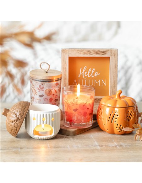 Autumn Leaves Warm Vanilla Candle AL_65224 - pic 134613 | FastDaddyshop