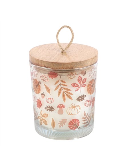 Autumn Leaves Warm Vanilla Candle AL_65224 - pic 134617 | FastDaddyshop
