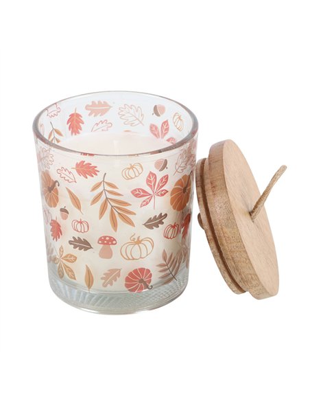 Autumn Leaves Warm Vanilla Candle AL_65224 - pic 134618 | FastDaddyshop
