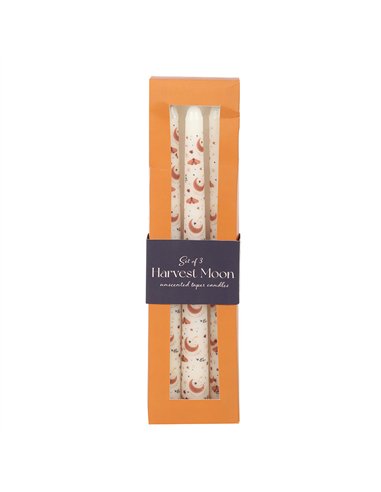 Set of 3 Harvest Moon Taper Candles AT_56425