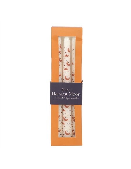 Set of 3 Harvest Moon Taper Candles AT_56425 - pic 134645 | FastDaddyshop