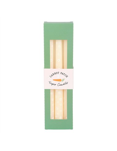 Set of 3 Carrot Patch Daisy Taper Candles CT_37925