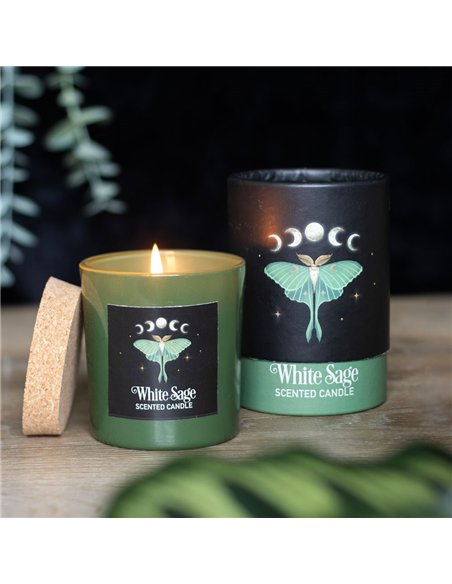Luna Moth White Sage Candle DF_79923 - pic 134899 | FastDaddyshop