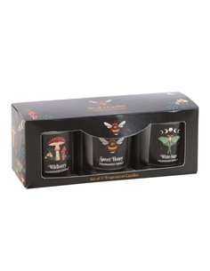 Dark Forest Votive Candle Trio DF_93824