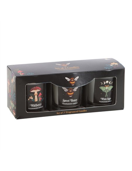 Dark Forest Votive Candle Trio DF_93824 - pic 134900 | FastDaddyshop