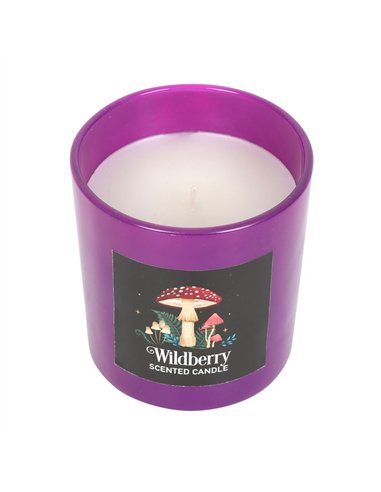 Forest Mushroom Wildberry Candle DF_79823