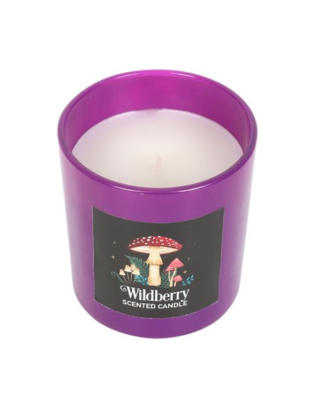 Forest Mushroom Wildberry Candle DF_79823 - pic 134950 | FastDaddyshop