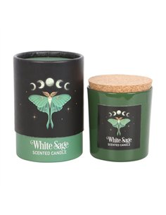 Luna Moth White Sage Candle DF_79923