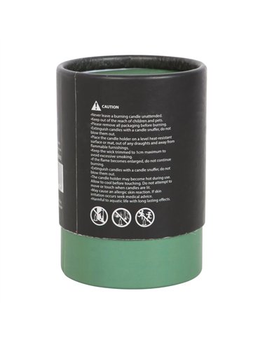 Luna Moth White Sage Candle DF_79923