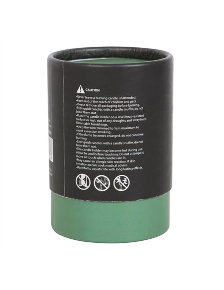 Luna Moth White Sage Candle DF_79923 - pic 134954 | FastDaddyshop