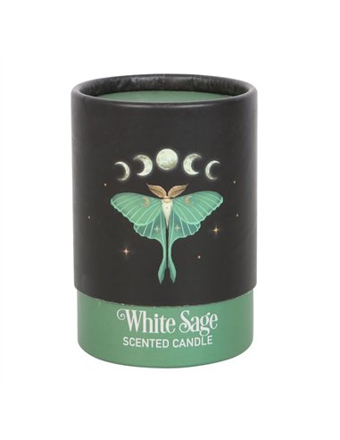 Luna Moth White Sage Candle DF_79923