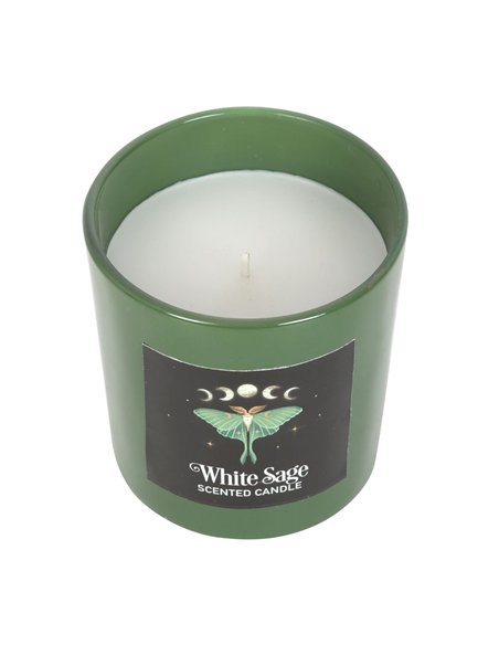 Luna Moth White Sage Candle DF_79923 - pic 134957 | FastDaddyshop