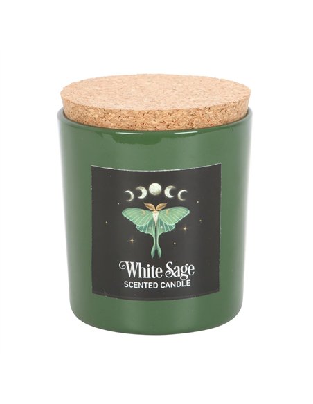 Luna Moth White Sage Candle DF_79923 - pic 134958 | FastDaddyshop