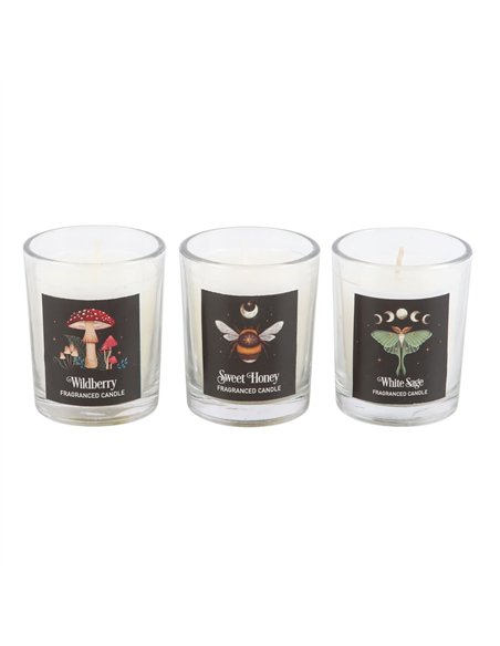 Dark Forest Votive Candle Trio DF_93824 - pic 134959 | FastDaddyshop
