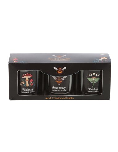 Dark Forest Votive Candle Trio DF_93824