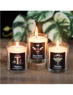 Dark Forest Votive Candle Trio DF_93824 2
