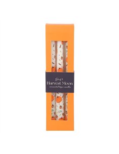 Set of 3 Pumpkin Taper Candles DY_77725