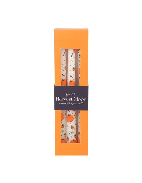 Set of 3 Pumpkin Taper Candles DY_77725 - pic 134972 | FastDaddyshop