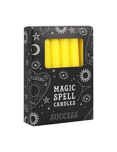 Set of 12 Yellow 'Success' Spell Candles FI_15528