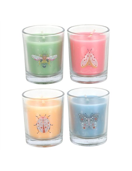 Set of 4 Floral Bug Mandarin & Bergamot Candles FB_00426 - pic 135049 | FastDaddyshop