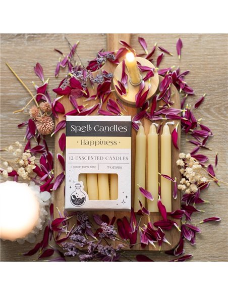 Pack of 12 Happiness Spell Candles HM_16924 - pic 135241 | FastDaddyshop