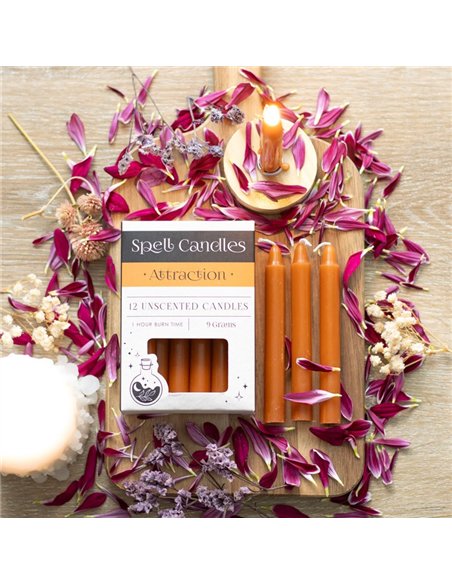Pack of 12 Attraction Spell Candles HM_17224 - pic 135259 | FastDaddyshop