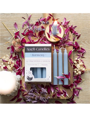 Pack of 12 Harmony Spell Candles HM_17324