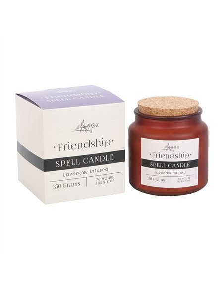 Lavender Infused Friendship Spell Candle HM_49423 - pic 135303 | FastDaddyshop