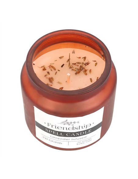 Lavender Infused Friendship Spell Candle HM_49423 - pic 135305 | FastDaddyshop