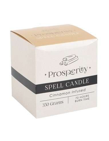 Cinnamon Infused Prosperity Spell Candle HM_49723
