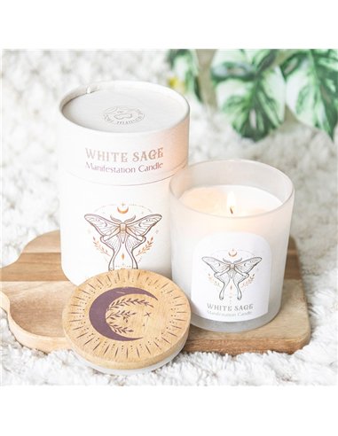 Luna Moth Manifestation Candle with Clear Quartz Crystals LL_21025