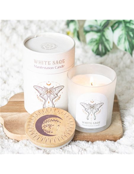 Luna Moth Manifestation Candle with Clear Quartz Crystals LL_21025 - pic 135361 | FastDaddyshop
