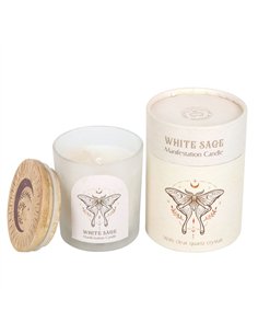Luna Moth Manifestation Candle with Clear Quartz Crystals LL_21025