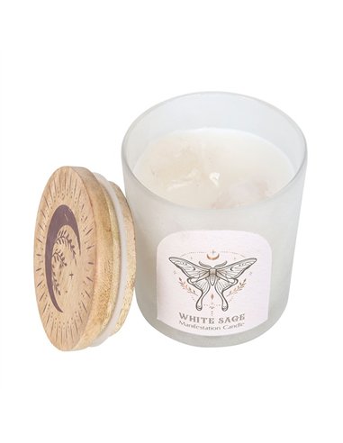 Luna Moth Manifestation Candle with Clear Quartz Crystals LL_21025