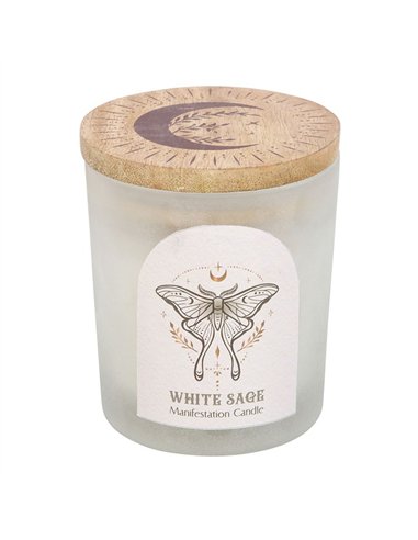 Luna Moth Manifestation Candle with Clear Quartz Crystals LL_21025