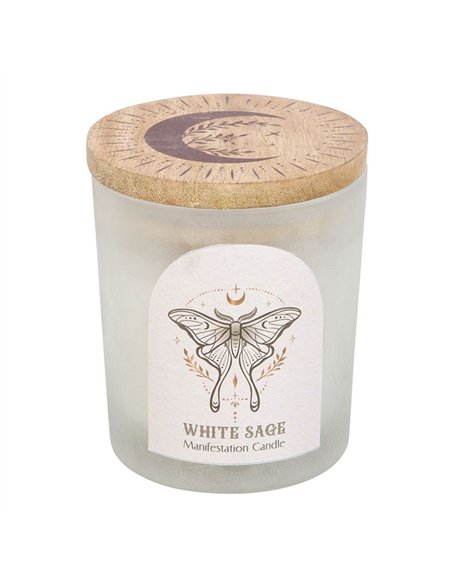 Luna Moth Manifestation Candle with Clear Quartz Crystals LL_21025 - pic 135364 | FastDaddyshop