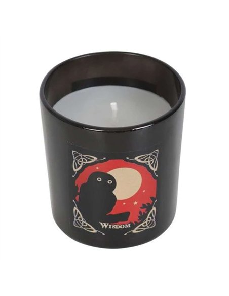 'Way of the Witch' Wisdom Candle by Lisa Parker LP_36624 - pic 135382 | FastDaddyshop