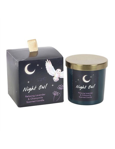 Night Owl Lavender & Chamomile Candle MF_09325 - pic 135427 | FastDaddyshop