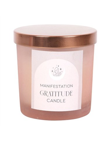 Gratitude Wild Rose Crystal Chip Candle MG_97122