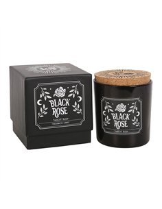 Black Rose Twilight Blush Candle MR_81123